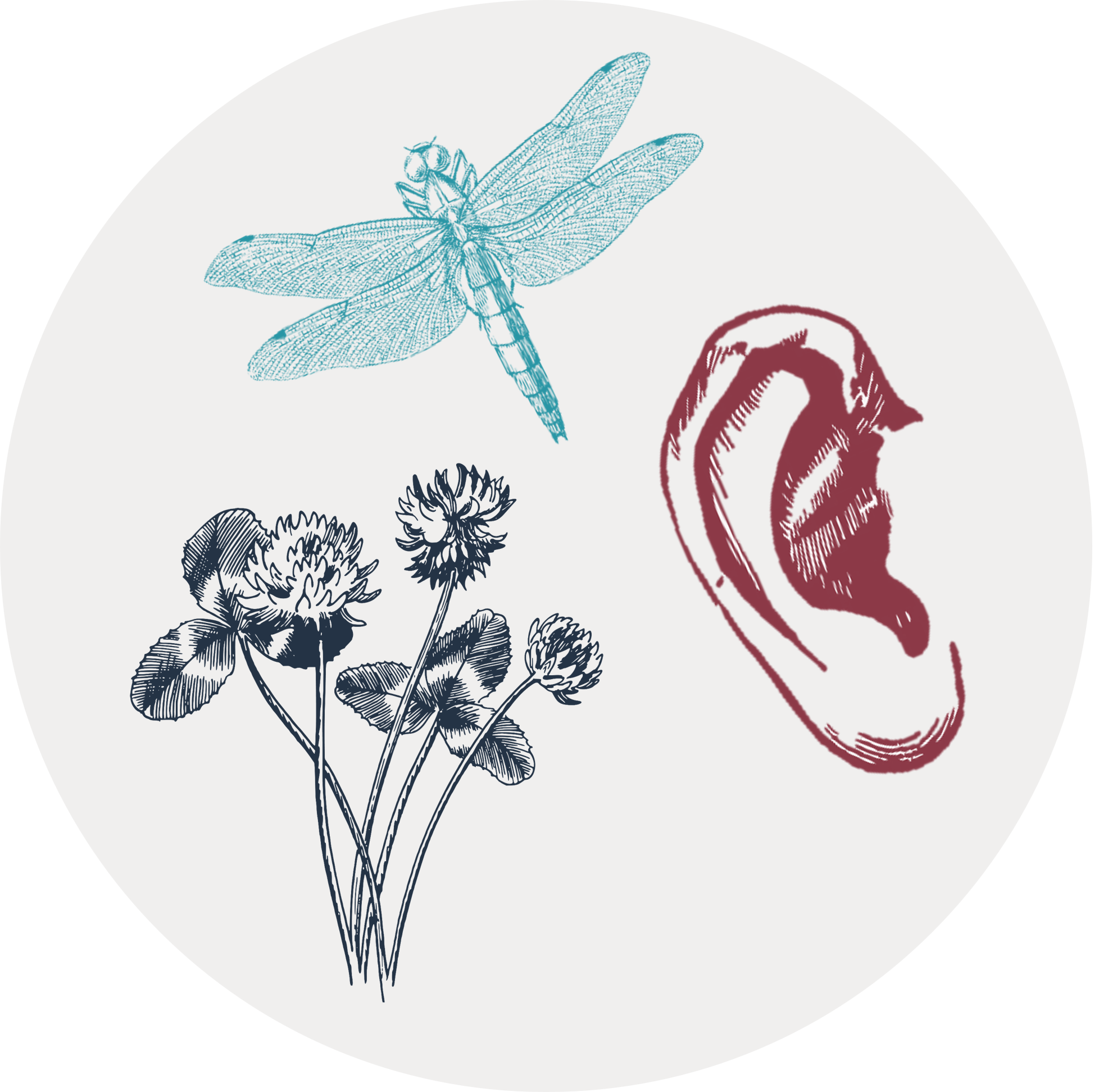 Gray circle with drawings of a clover, a dragonfly, and a listening ear