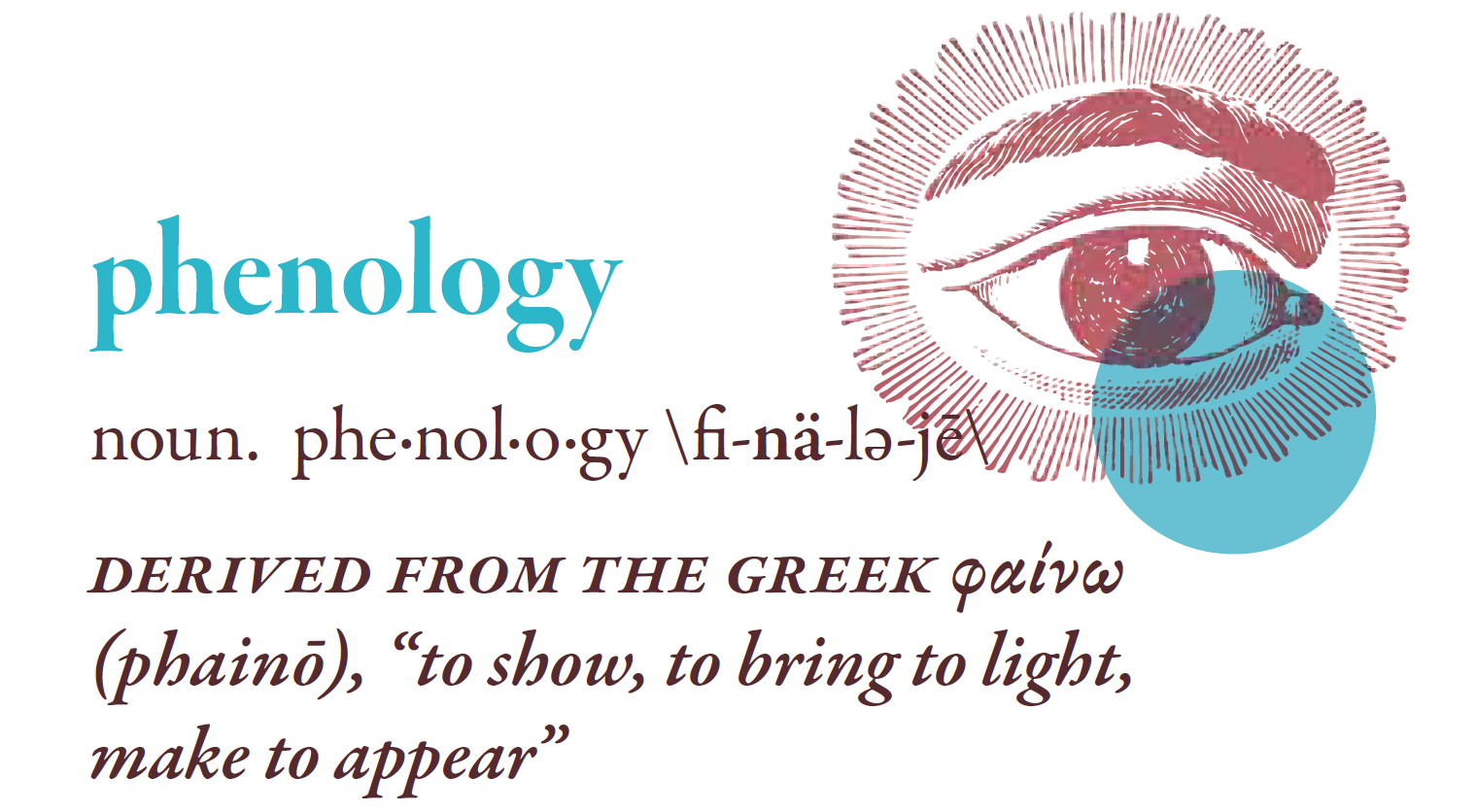 Dictionary entry for "phenology" with a line illustration of an open eye. Derived from the Greek "phaino," meaning "to show, to bring to light, to make appear"