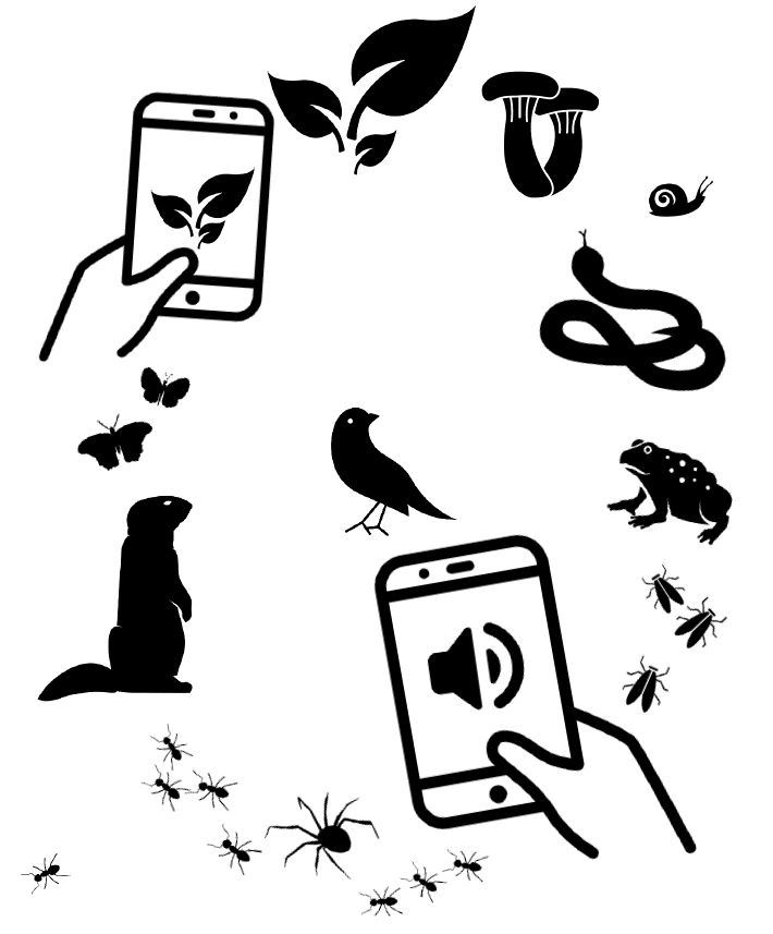 Silhouettes of animals in a circle, and a hand holding a cell phone