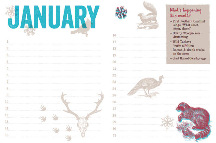 A simple calendar layout for the month of January, with line for each day of the month. Illustrations of animals add interest to the design.