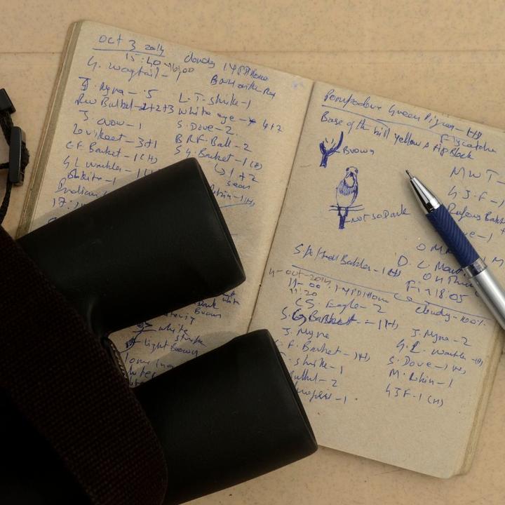 Pair of binoculars and a pen rest on an open notebook, the pages have writing and a drawing of a bird