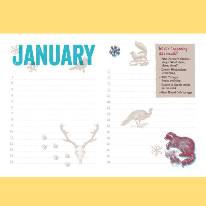 Calendar layout for the month of January showing a line for every day of the month