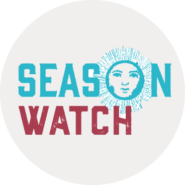 Season Watch in blue and red text on a gray background